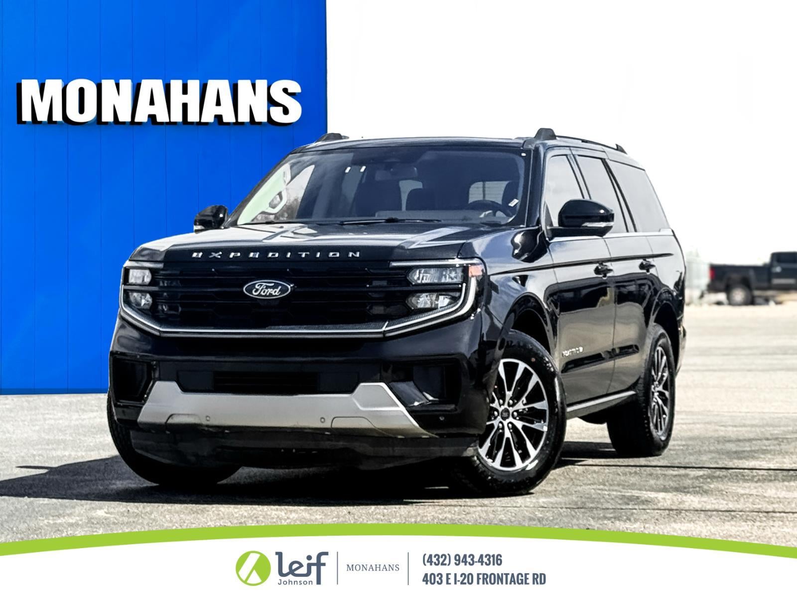 2025 Ford Expedition Platinum 4x4's photo